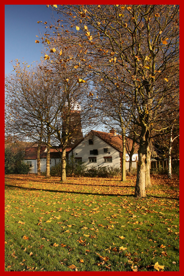 Third - David Robinson